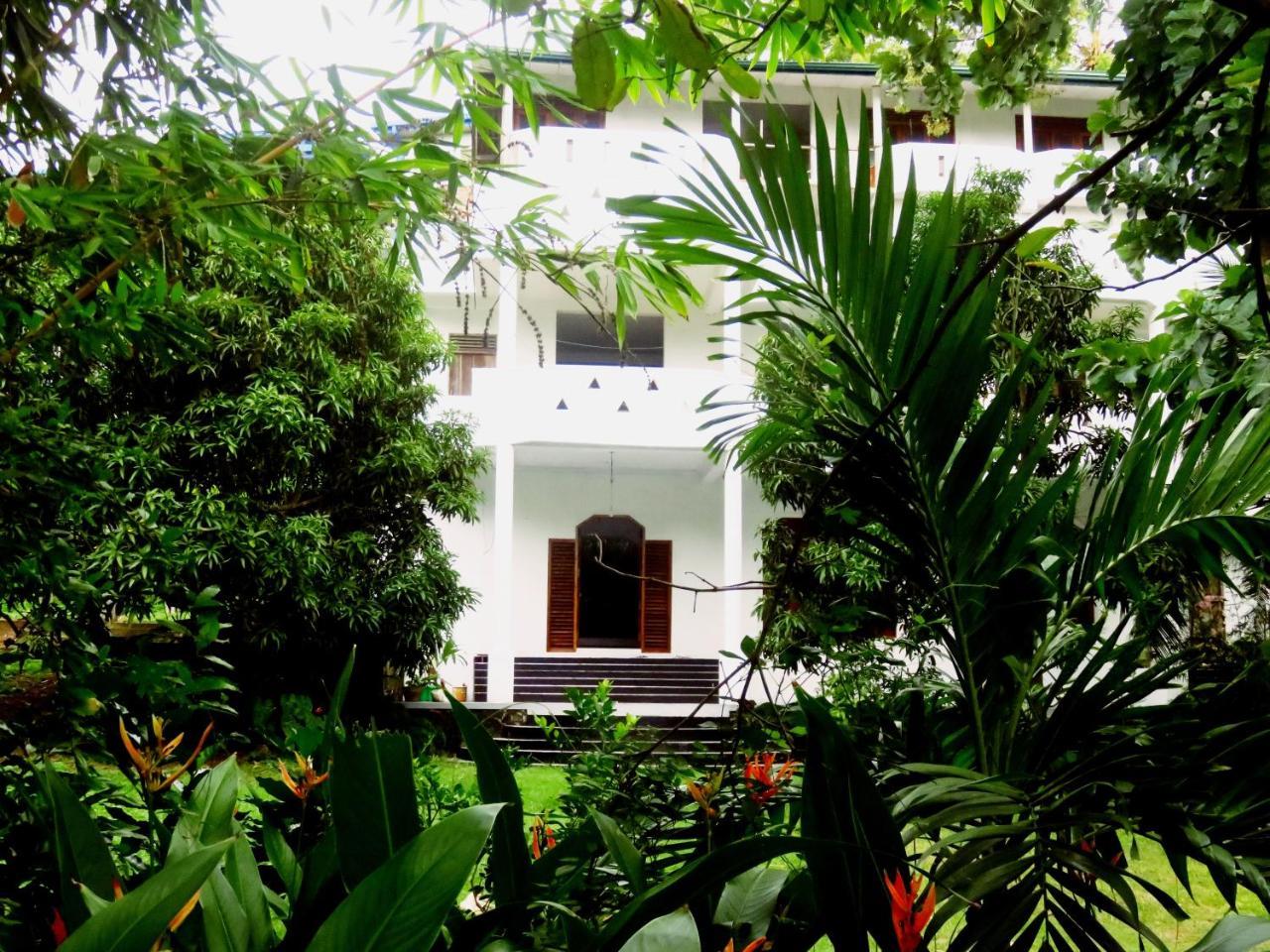 Sea Avenue - Eco Garden Hotell Tangalle Eksteriør bilde