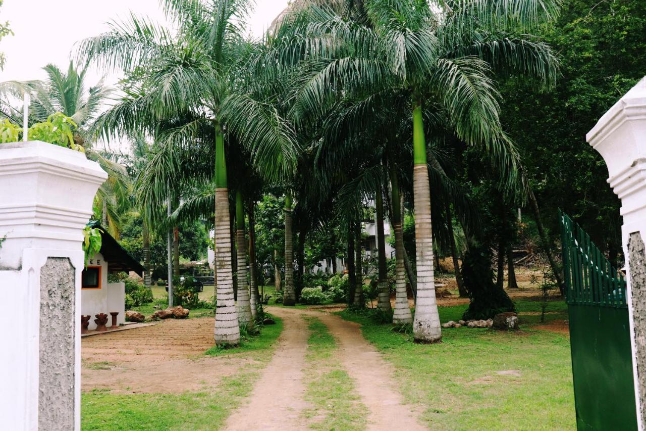 Sea Avenue - Eco Garden Hotell Tangalle Eksteriør bilde