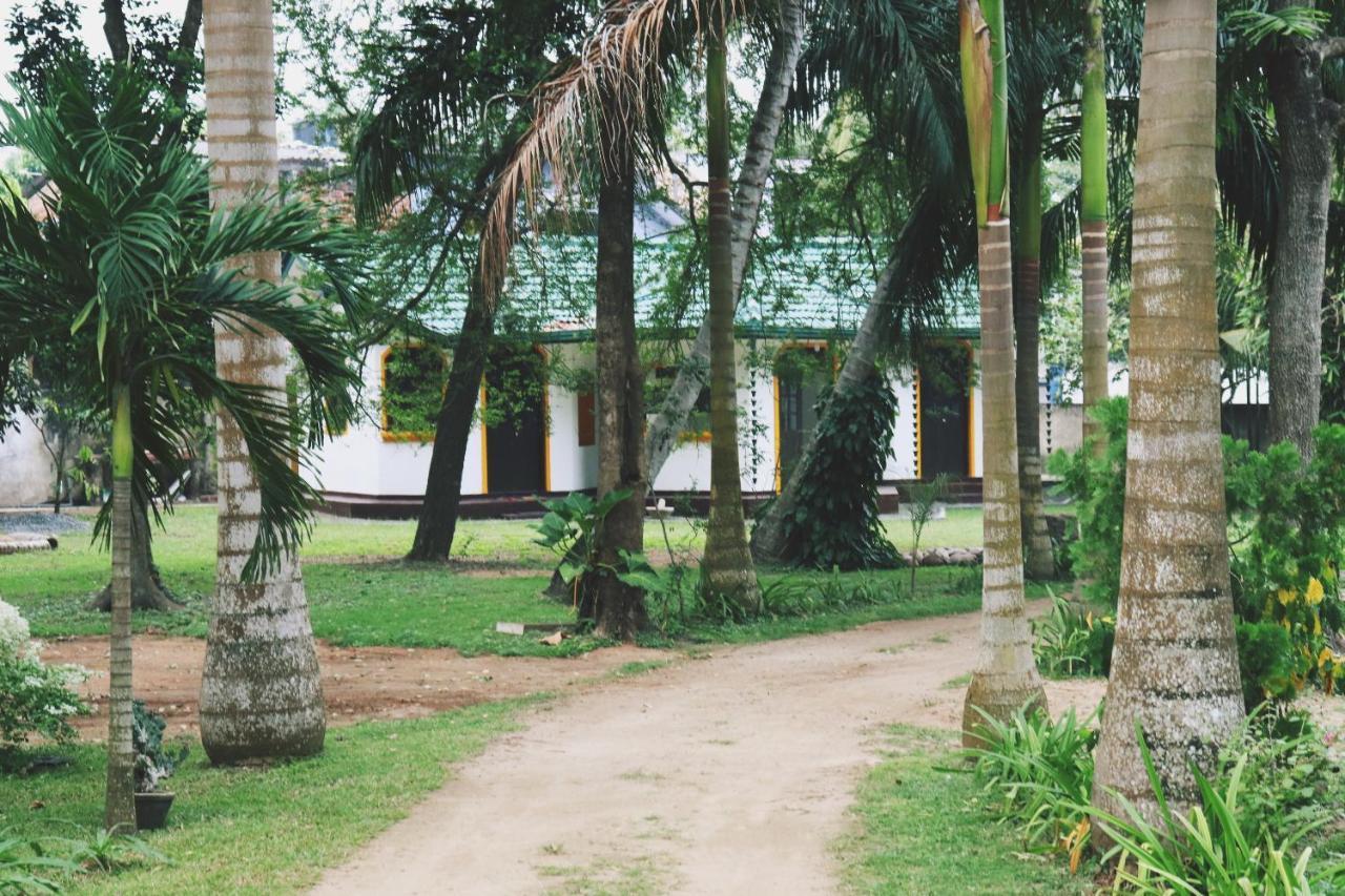 Sea Avenue - Eco Garden Hotell Tangalle Eksteriør bilde