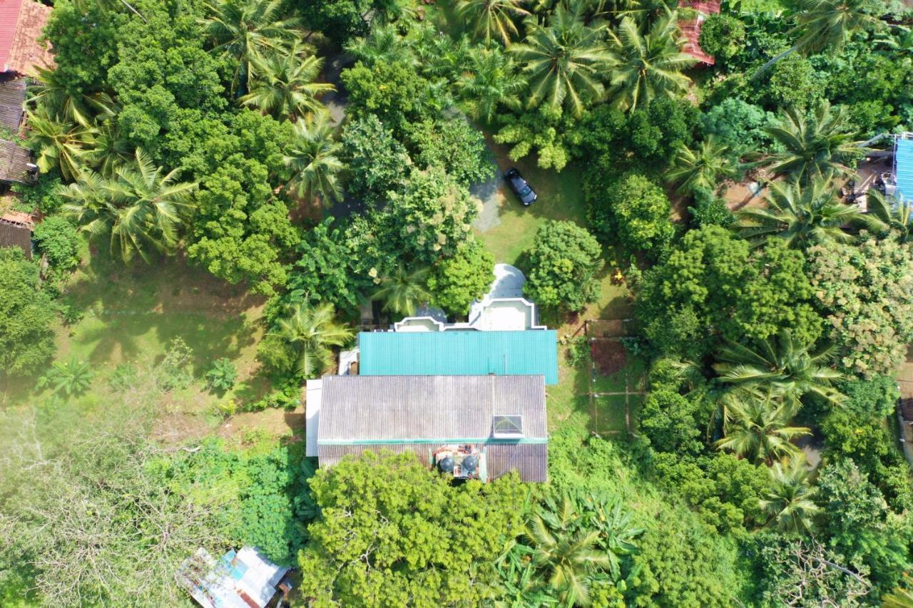 Sea Avenue - Eco Garden Hotell Tangalle Eksteriør bilde